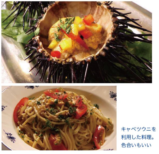 キャベツウニを利用した料理。色合いもいい